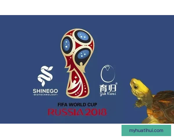 世界杯竞猜热门平台全攻略与技巧详解助你轻松赢取奖金
